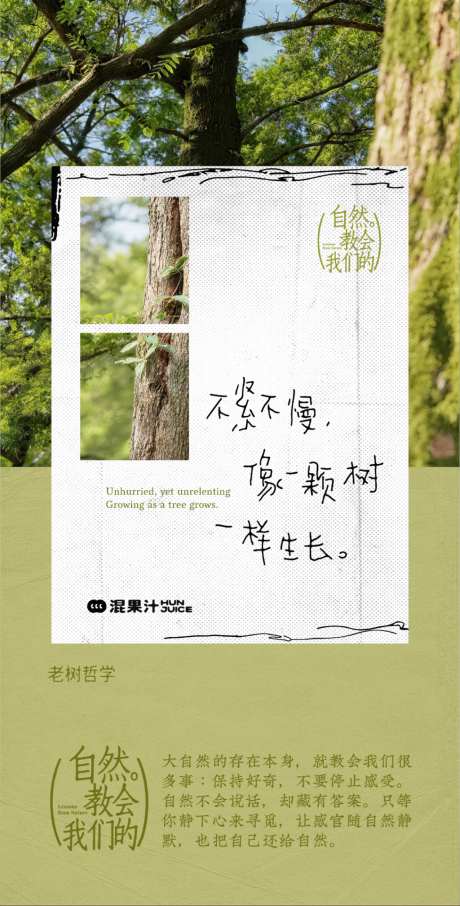 自然教会我们的_源文件下载_AI格式_1024X2017像素-森林,树木,文案-作品编号:2026061513173518-志·设ʹ֣֤֚֫֗ׄ网