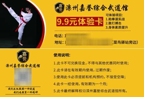 黄色简约武馆体验券少儿武术跆拳道培训宣传