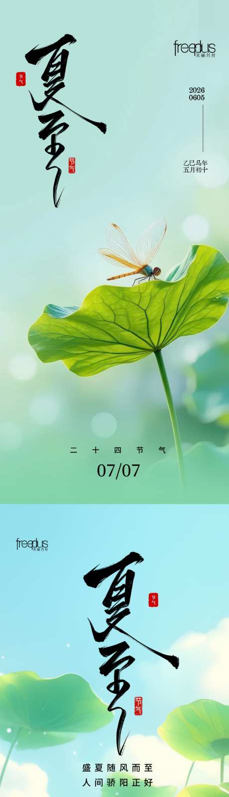 夏至节气海报