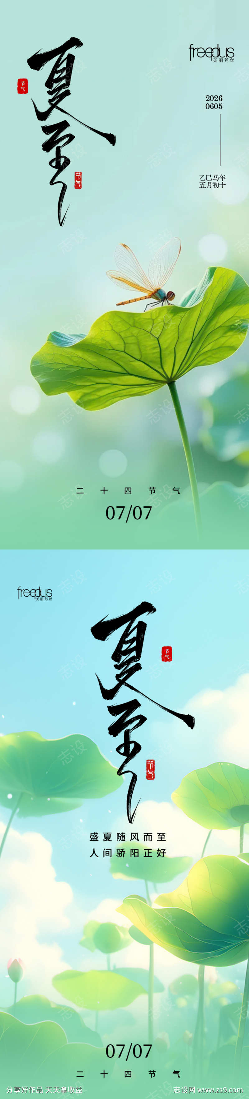 夏至节气海报