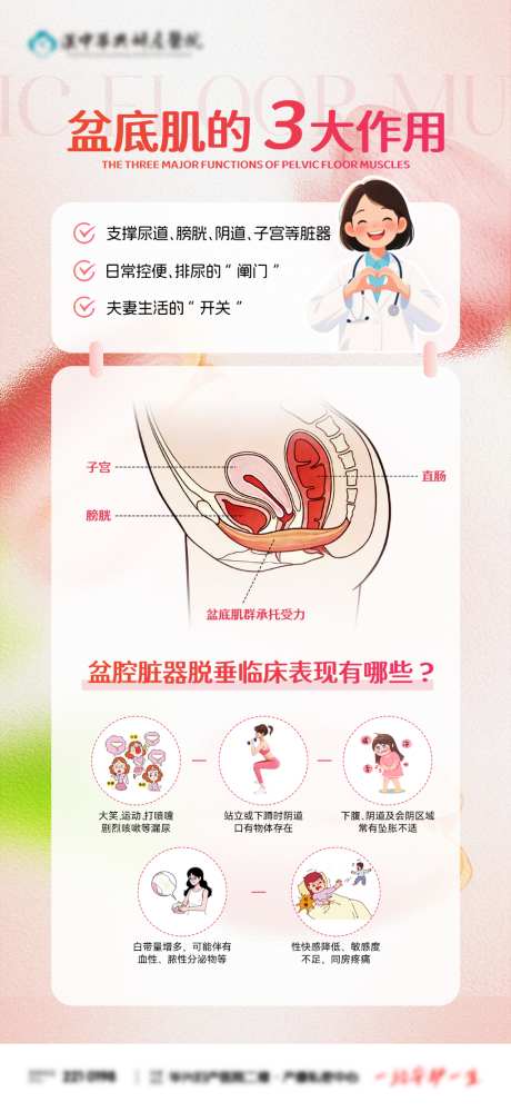 医疗盆底肌海报