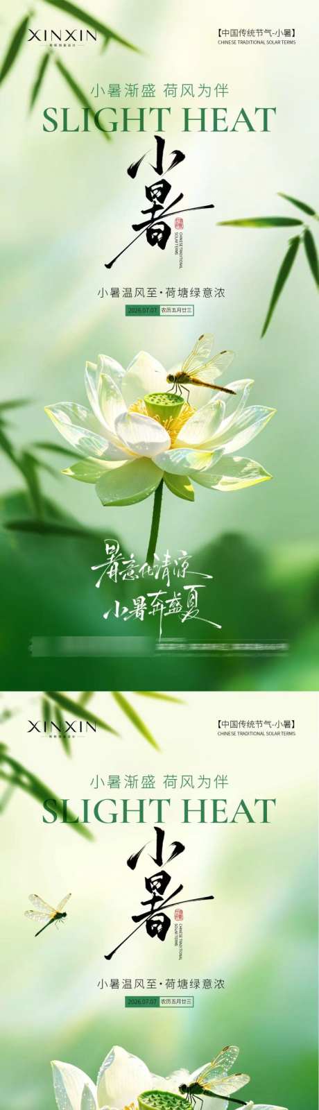 小暑荷花简约意境海报