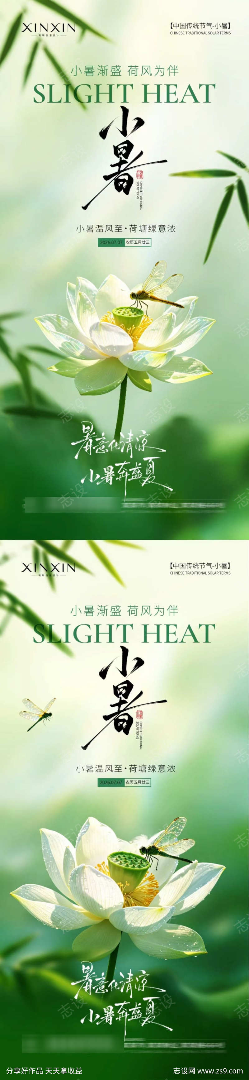 小暑荷花简约意境海报