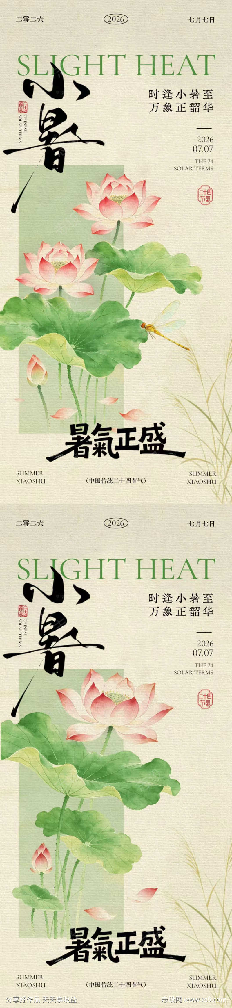 小暑节气荷花插画海报