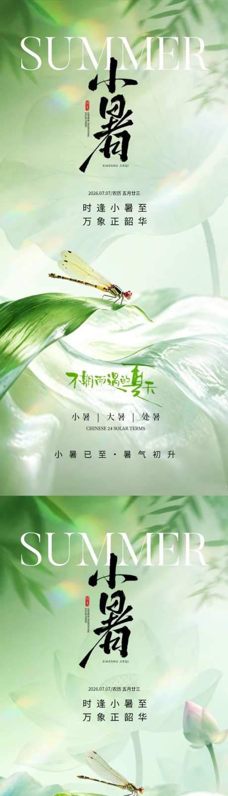 小暑节气简约海报