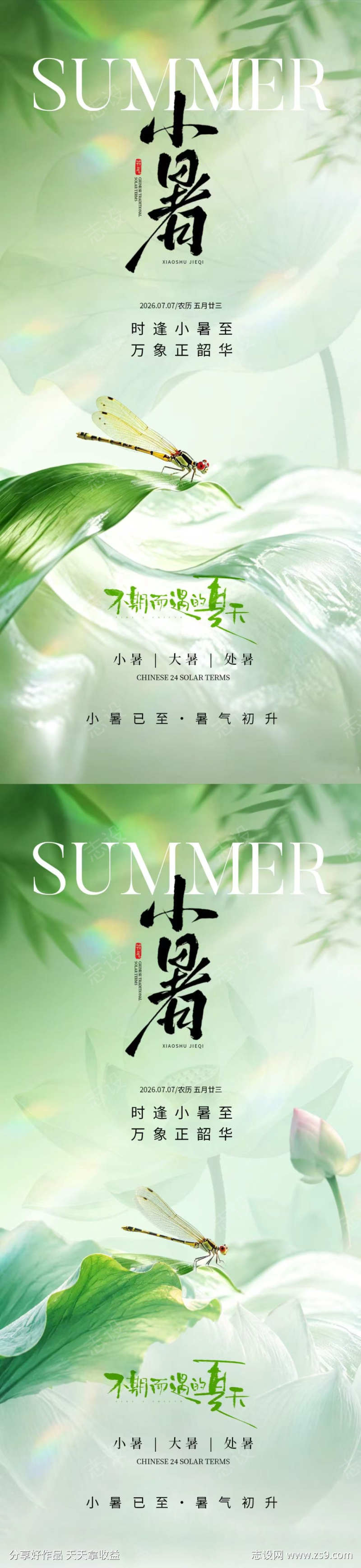小暑节气简约海报