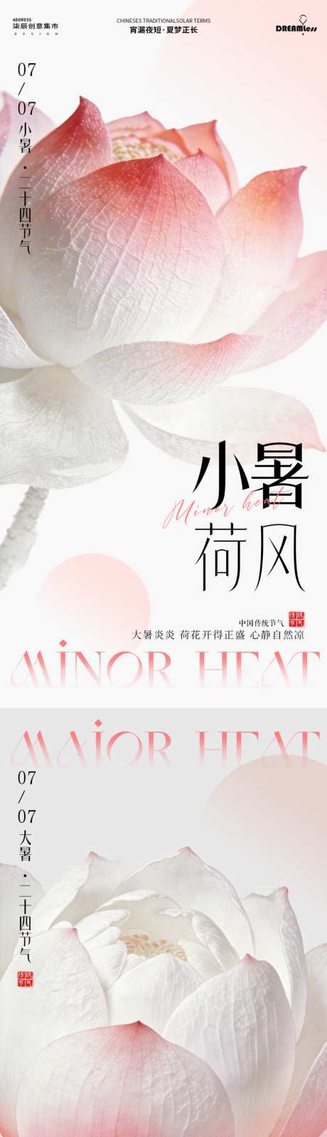 小暑大暑荷花简约摄影海报_源文件下载_PSD格式_1024X4437像素-夏天,花卉,清新-作品编号:2026062909344554-志`设’网