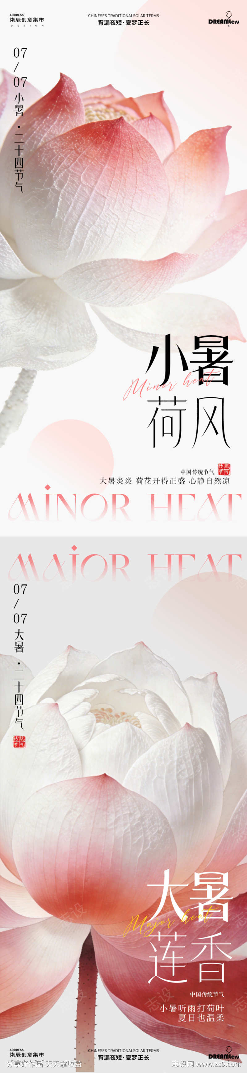 小暑大暑荷花简约摄影海报