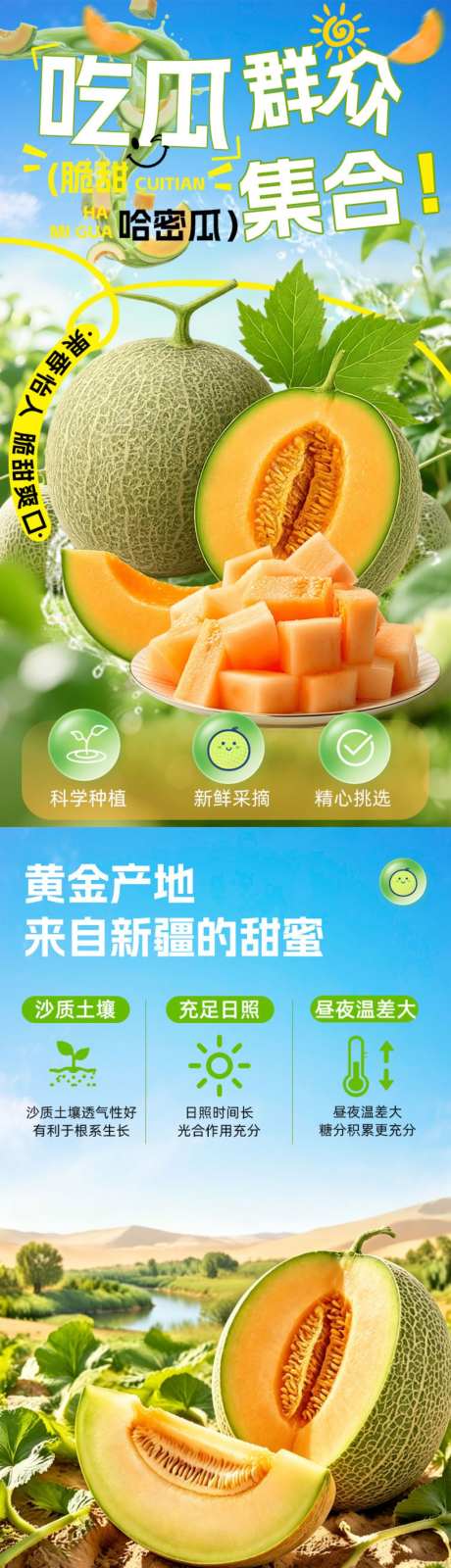 新疆哈密瓜_源文件下载_PSD格式_1024X13496像素-水果,蔬菜,详情页-作品编号:2026070117274182-志,设˒网