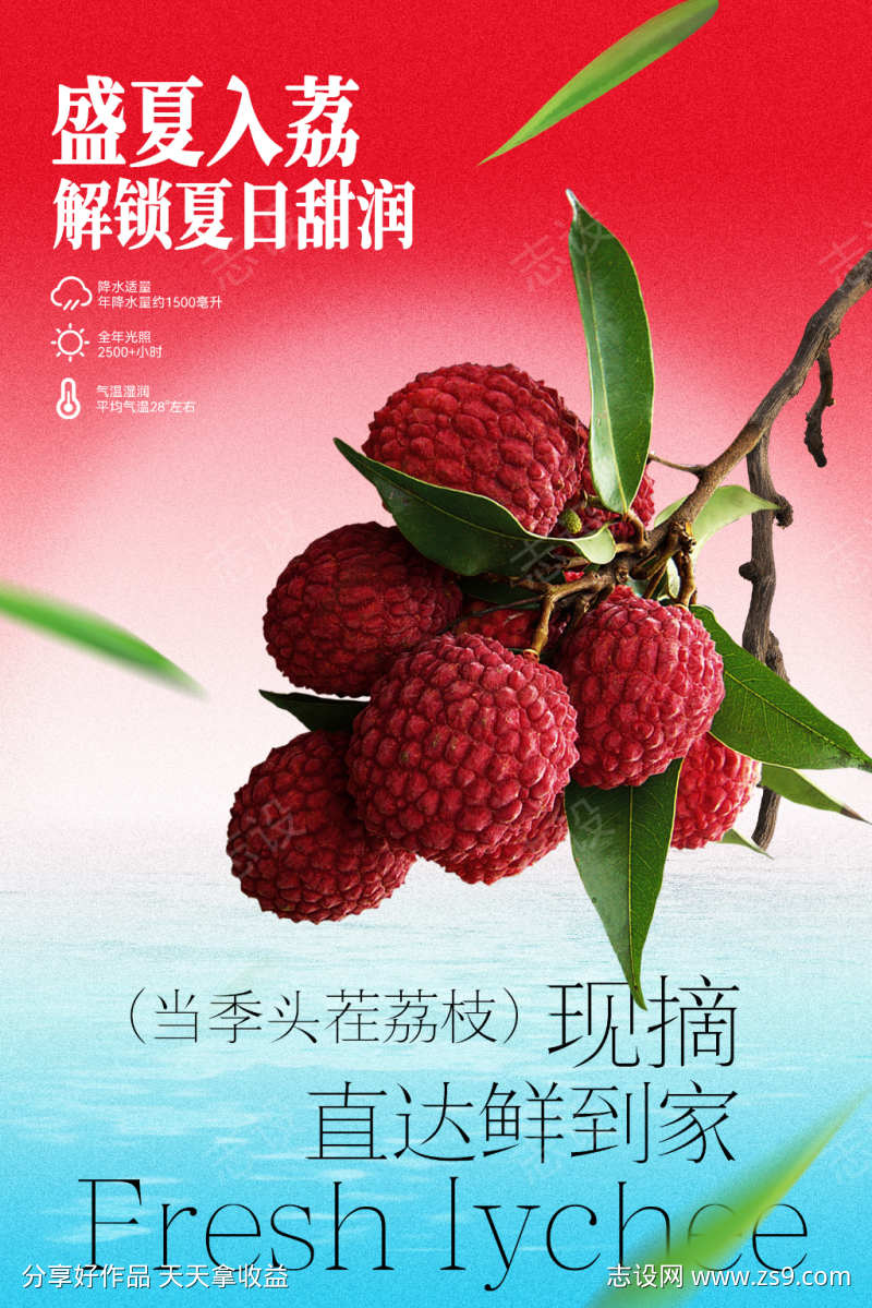 盛夏荔枝新鲜荔枝水果海报