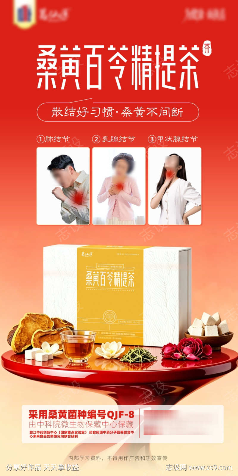 桑黄茶大健康