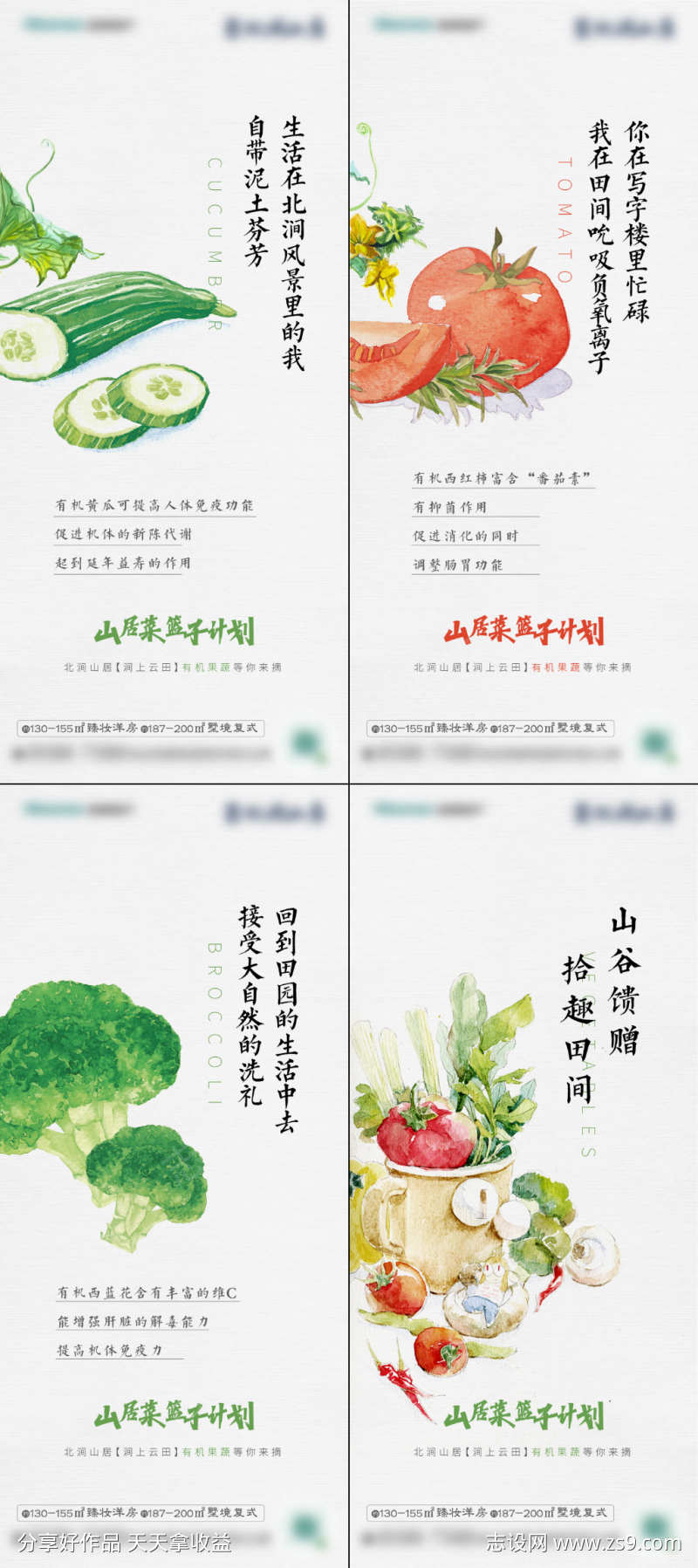蔬菜插画系列海报