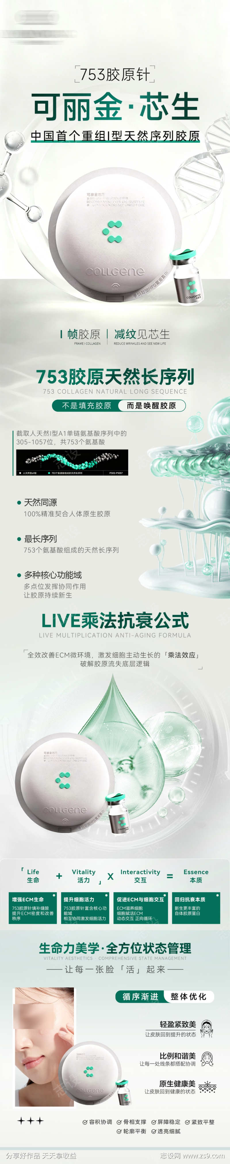 可丽金芯生长图