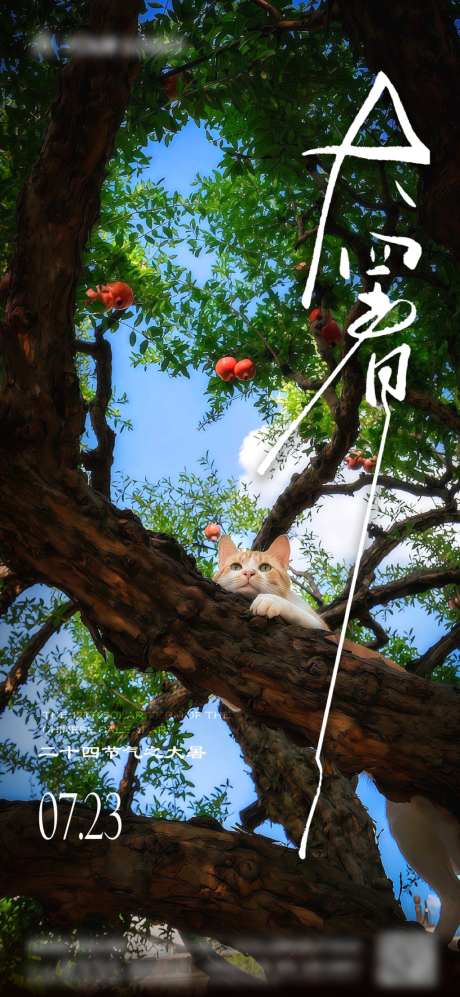 地产大暑节气海报
