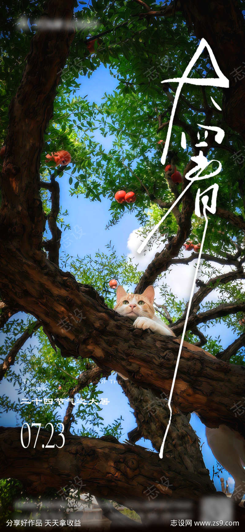 地产大暑节气海报