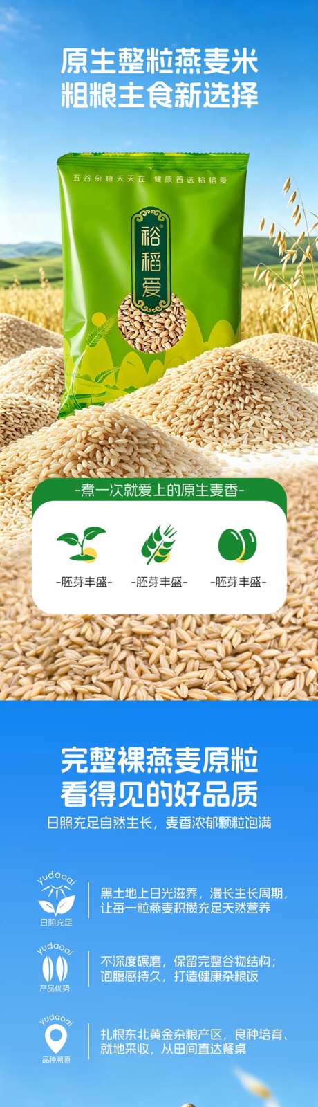餐饮速食杂粮燕麦米详情页_源文件下载_PSD格式_1017X4892像素-燕麦米,杂粮,速食-作品编号:2026072816592699-志ˌ设˓网