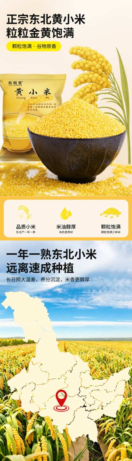 餐饮速食杂粮黄小米详情页_源文件下载_PSD格式_1010X5187像素-黄小米,杂粮,速食-作品编号:2026072810018187-志˘设˒网