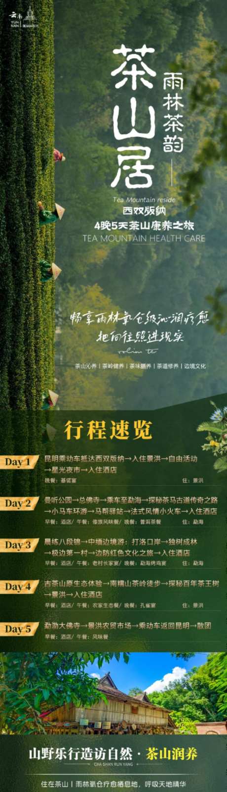 西双版纳康养之旅_源文件下载_PSD格式_1024X13800像素-茶叶,绿色,长图-作品编号:2026080409092414-志·设‘网