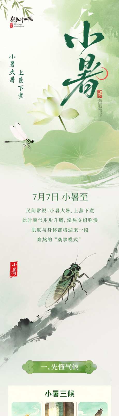 小暑护肤攻略