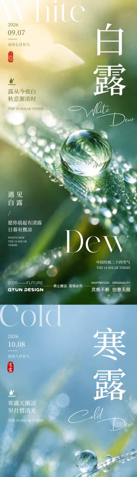 白露寒露节气海报_源文件下载_PSD格式_2160X4800像素-节气,海报,白露-作品编号:2026080816277396-志‛ۛ设˒网