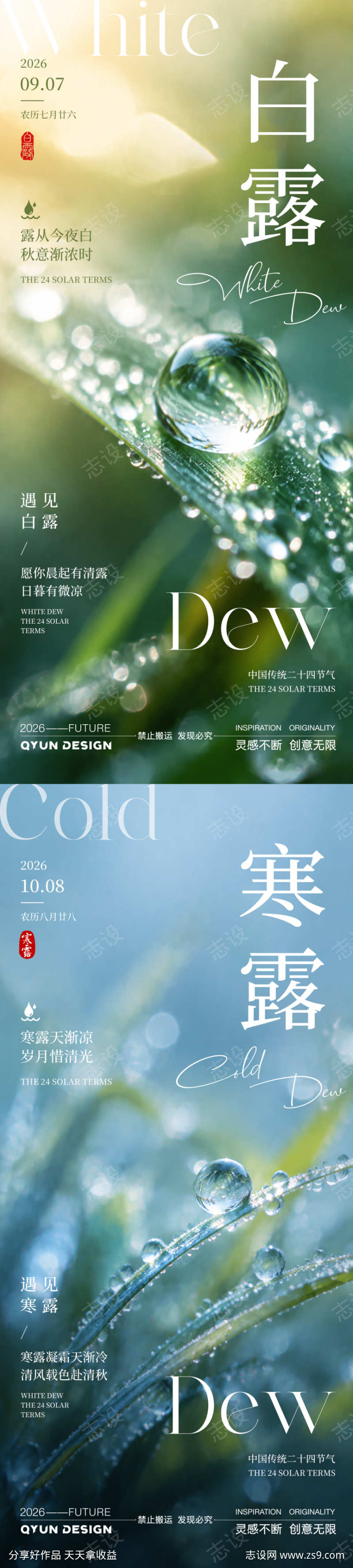 白露寒露节气海报