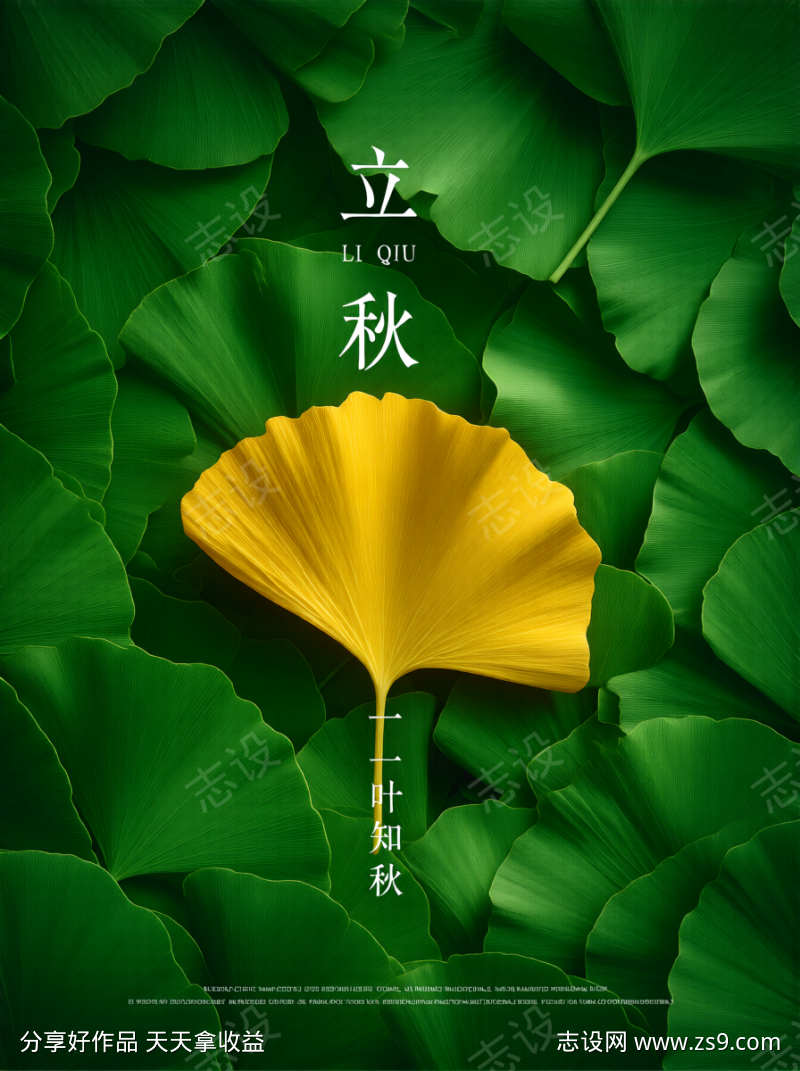 立秋节气创意视觉海报