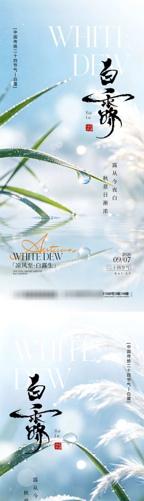 白露节气宣传海报_源文件下载_PSD格式_1024X4452像素-入秋,秋天,芦苇-作品编号:2026081915571704-志ʹ֣֤֚֫֗ׄ设,网