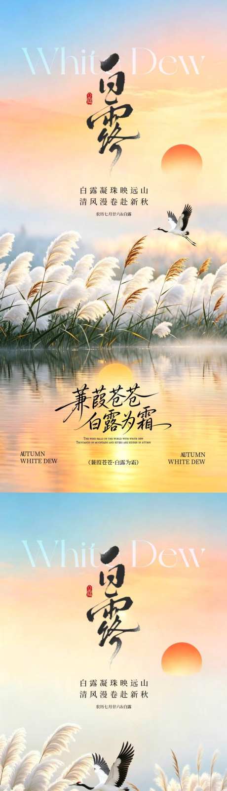 白露芦苇风景海报_源文件下载_PSD格式_1024X4437像素-白鹭,白露,节气-作品编号:2026082514026108-志˜设˙网
