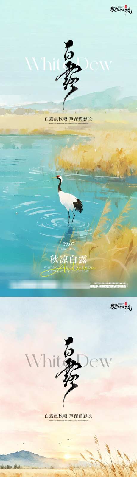 白露二十四节气简约宣传海报