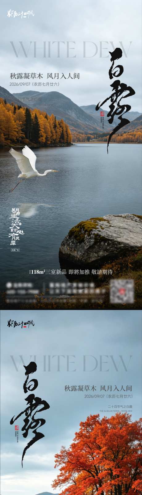 白露节气海报