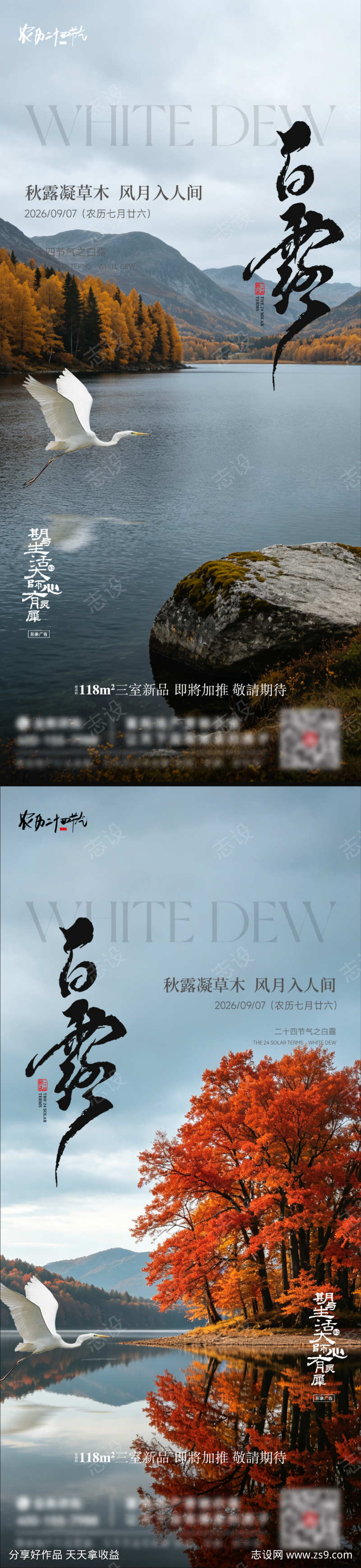 白露节气海报