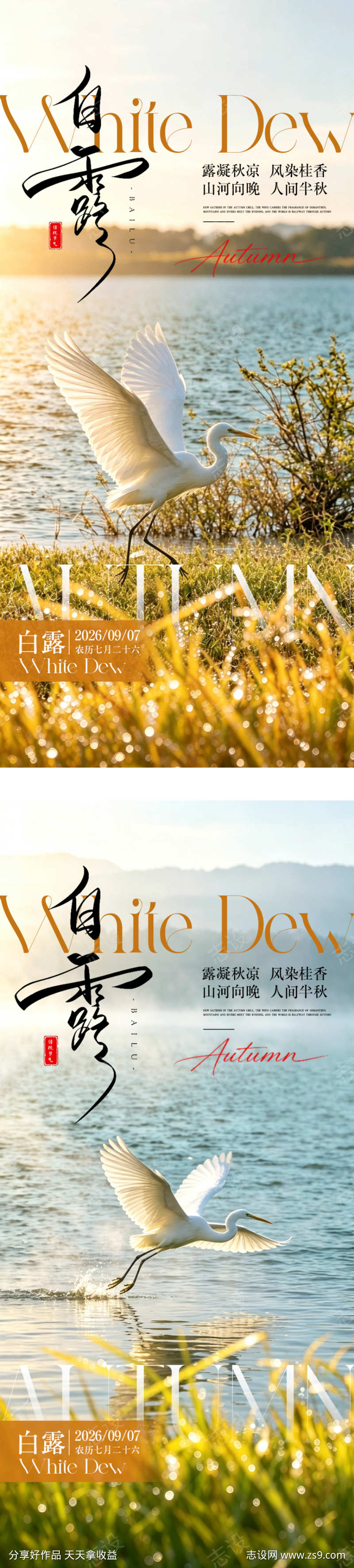 白露简约意境海报
