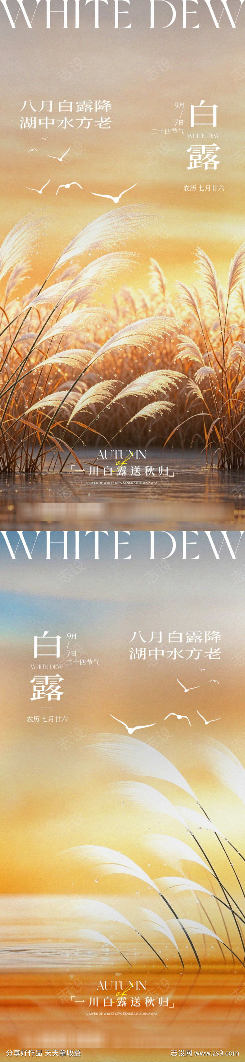 白露二十四节气简约扁平风创意宣传海报