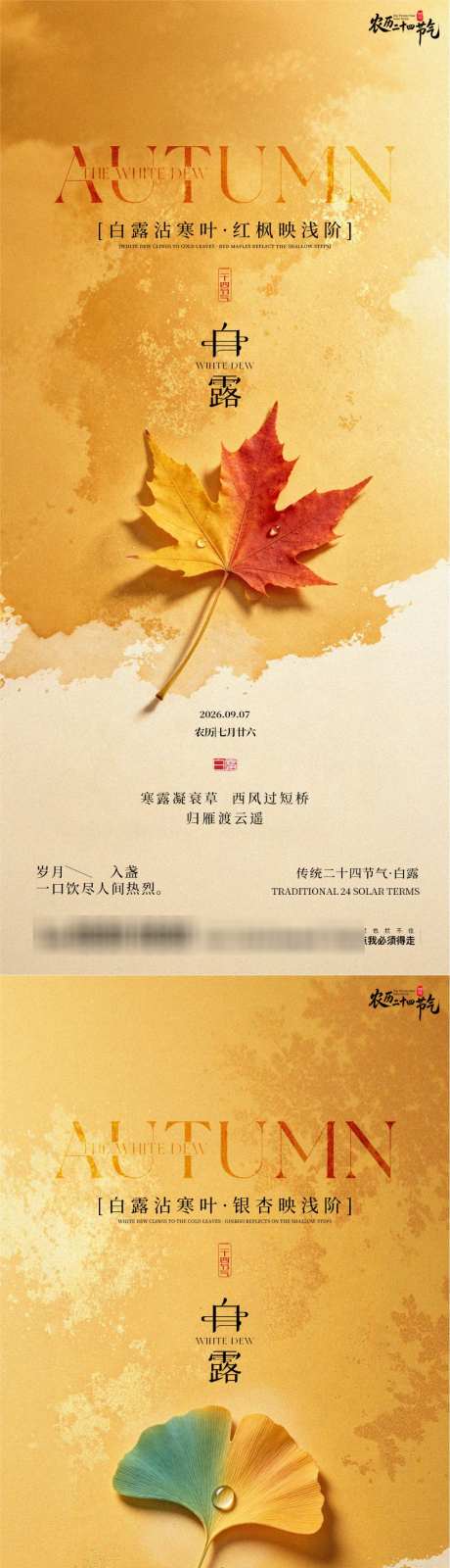 白露二十四节气创意简约高端宣传海报_源文件下载_PSD格式_1024X4429像素-枫叶,国风,白露-作品编号:2026083109193312-志˲͓͕͔͐͑͗ٚٛٙ设.网