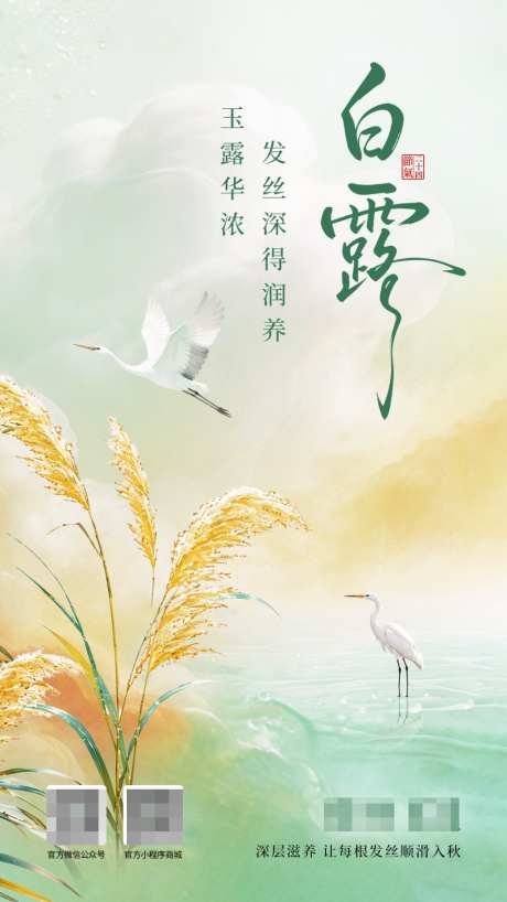 白露节气海报