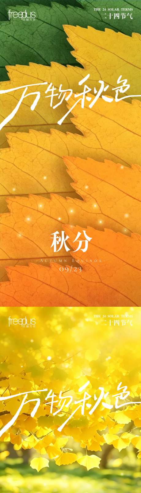 秋分节气海报