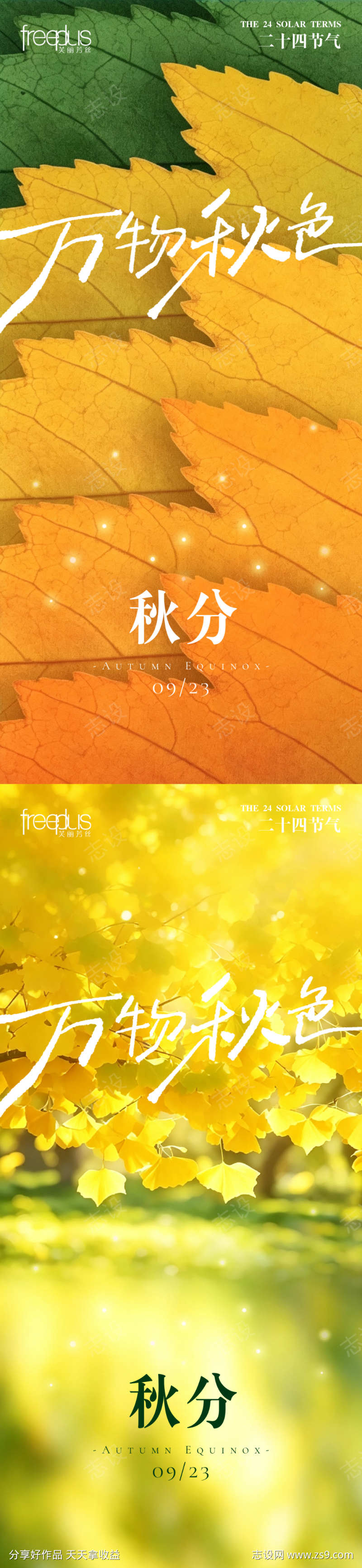 秋分节气海报