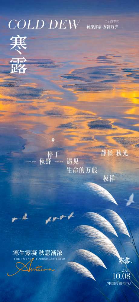 寒露文艺感海报