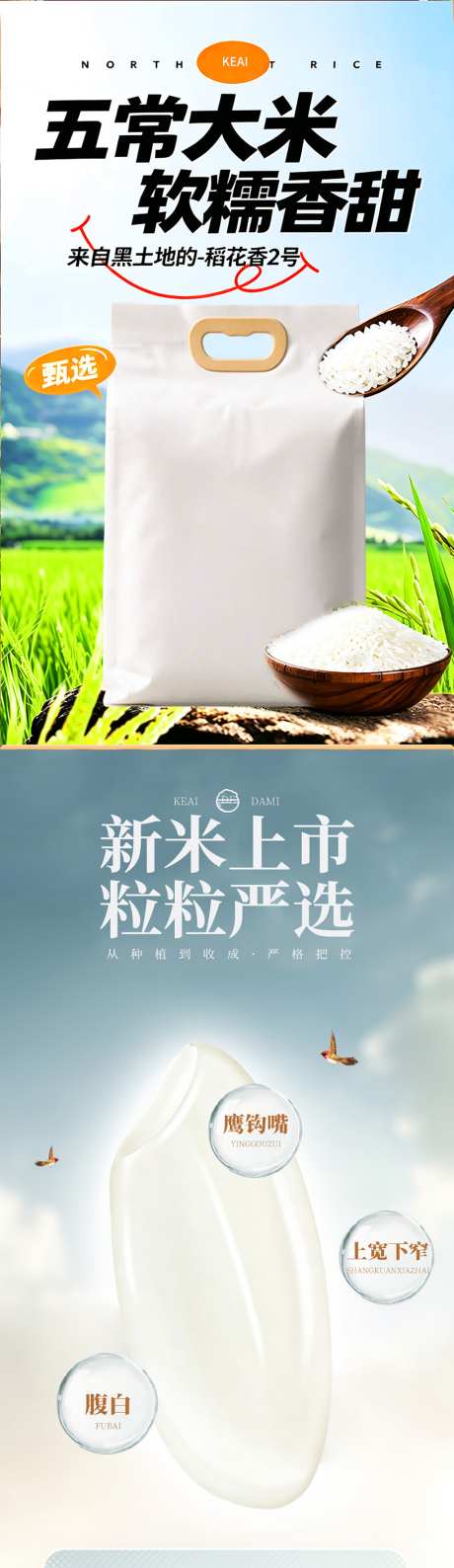 东北大米食品通用_源文件下载_PSD格式_1024X3535像素-香甜,软糯,白面-作品编号:2026092409475491-志ˆ设ˌ网