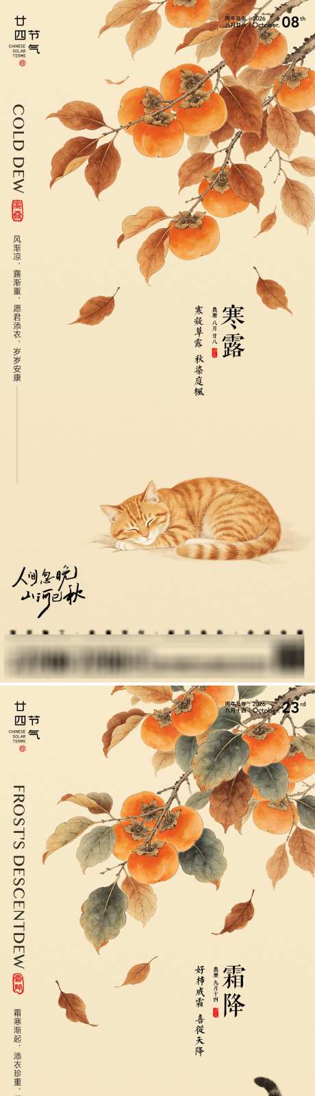 寒露霜降节气海报_源文件下载_AI,PSD格式_1024X4446像素-猫咪,柿子,秋天-作品编号:2026092713446501-志˓设ˈ̹网