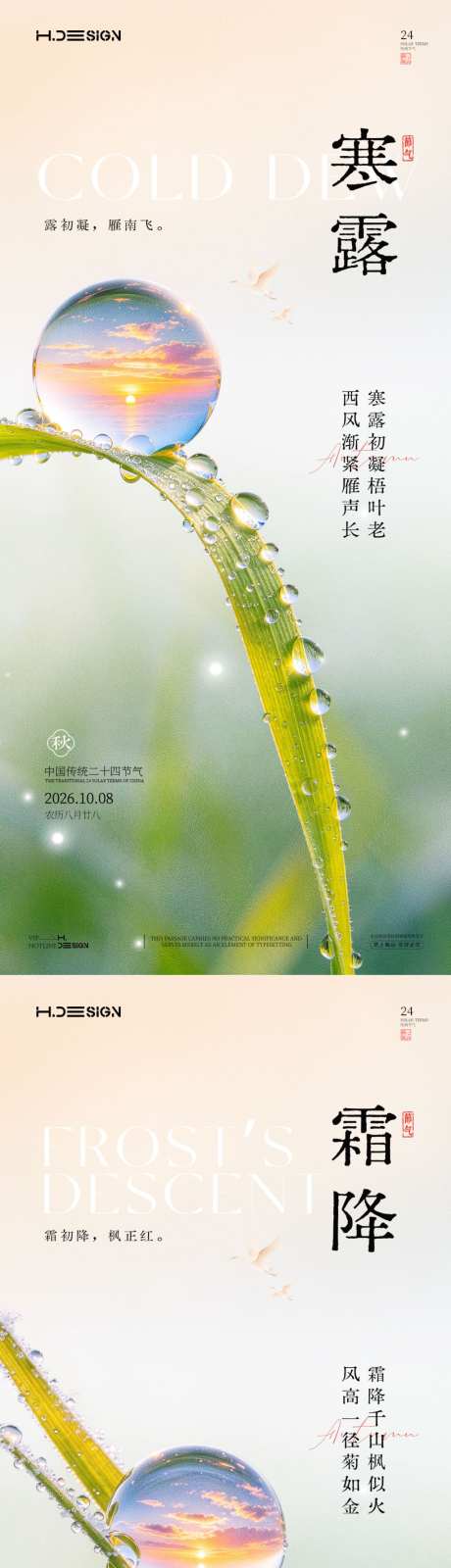 寒露霜降二十四节气海报_源文件下载_PSD格式_1024X4433像素-简约,质感,唯美-作品编号:2026092713467416-志˓设·网