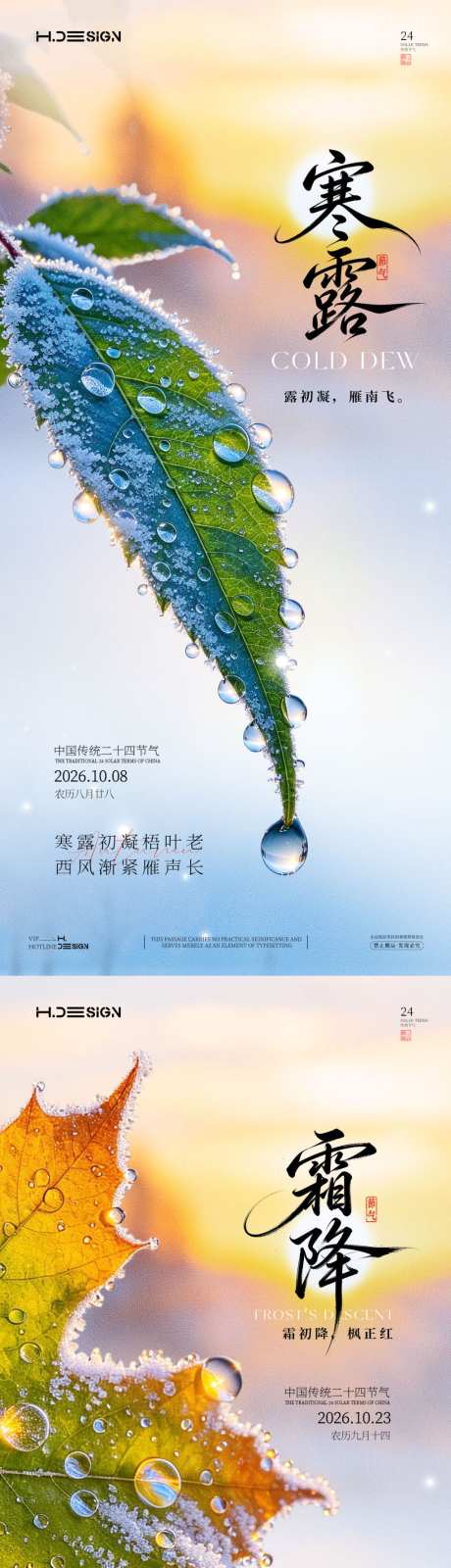 寒露霜降二十四节气海报_源文件下载_PSD格式_1024X4433像素-露珠,简约,暖阳-作品编号:2026092713519833-志͵设ˈ̹网