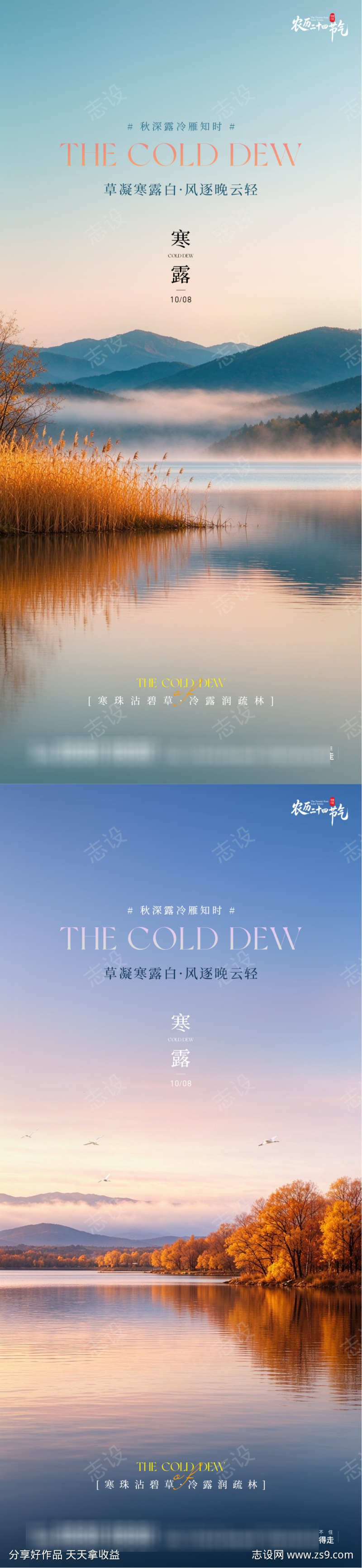 寒露二十四节气地产创意写实宣传海报