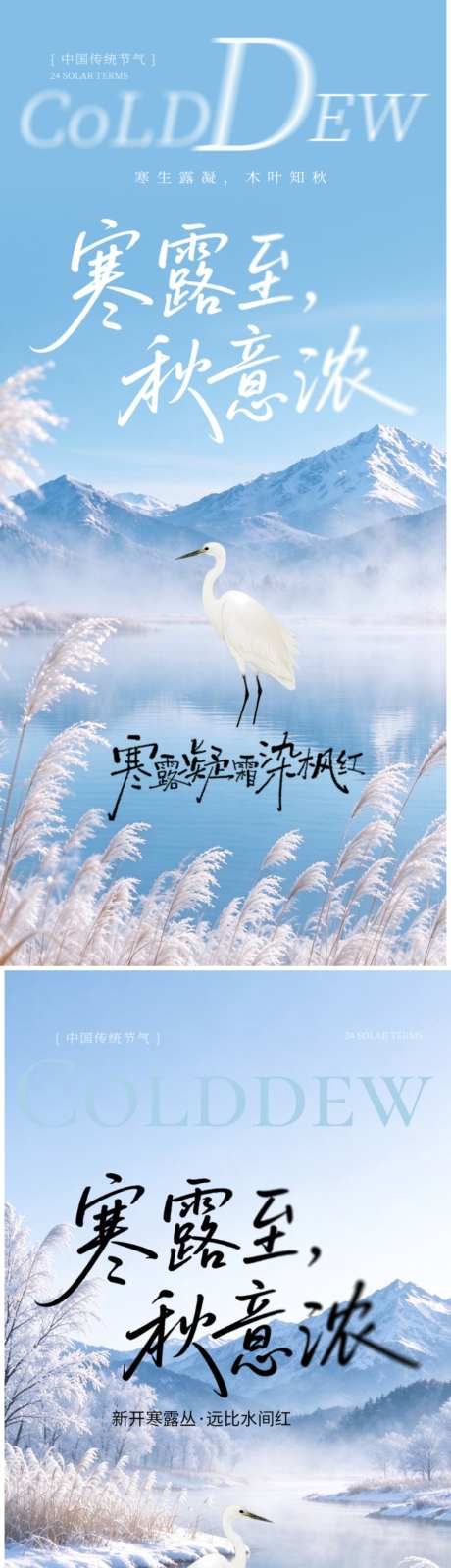 寒露节气海报