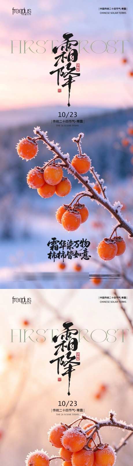 霜降节气海报