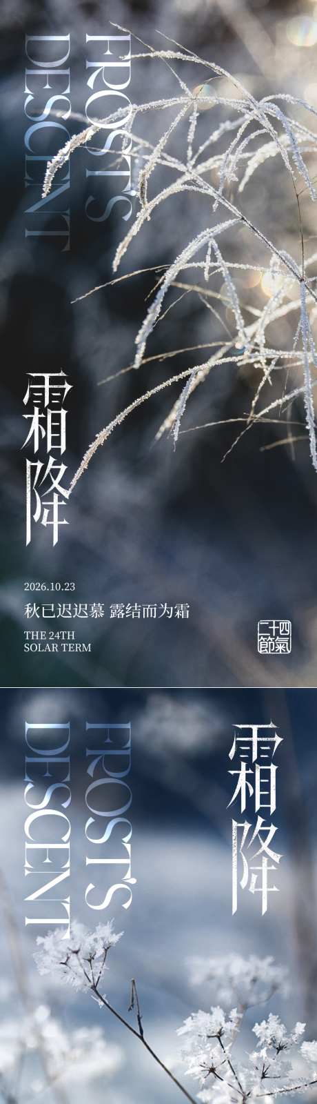 霜降节气海报背景