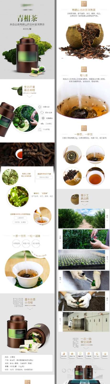 布朗山古树小青柑普洱茶详情页_源文件下载_PSD格式_508X2071像素-普洱茶,茶叶,布朗山-作品编号:2026101012033787-志.设′网