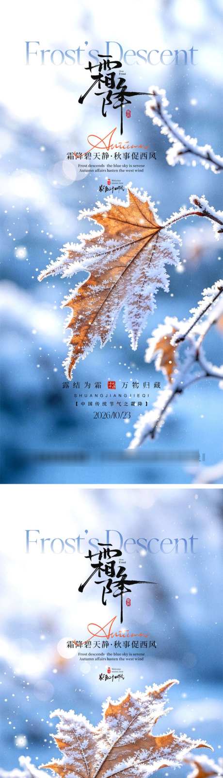 霜降节气宣传海报