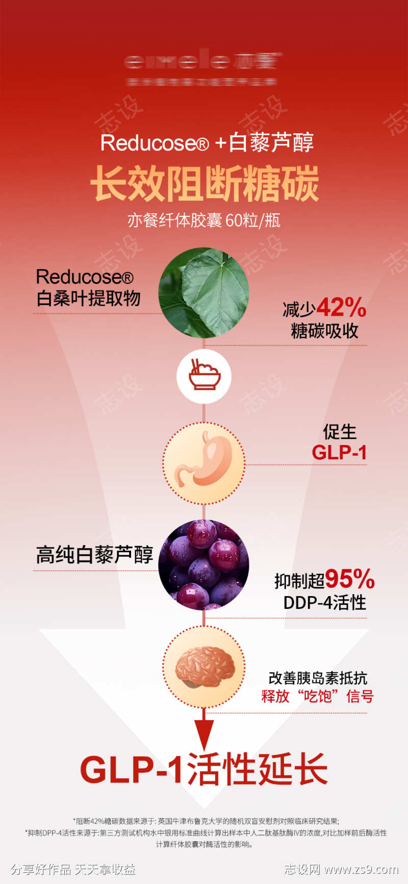 瘦身纤体胶囊长效阻断糖碳海报