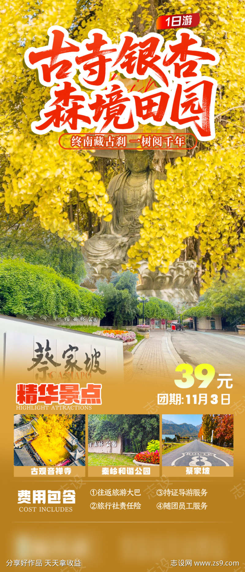蔡家坡银杏海报